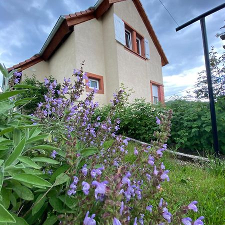 Le Refuge De L'Ours Villa Baerenthal Exteriör bild