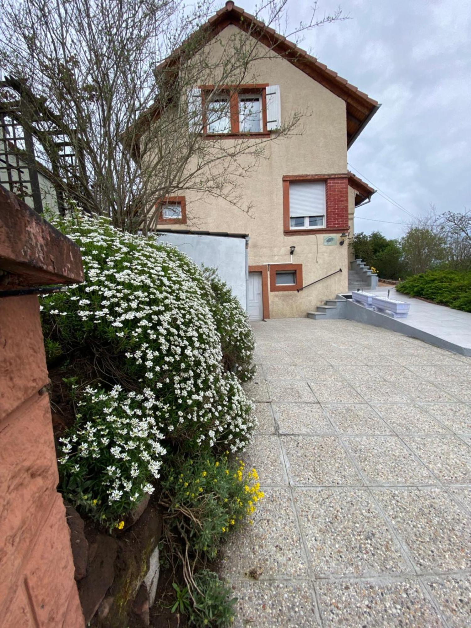 Le Refuge De L'Ours Villa Baerenthal Exteriör bild