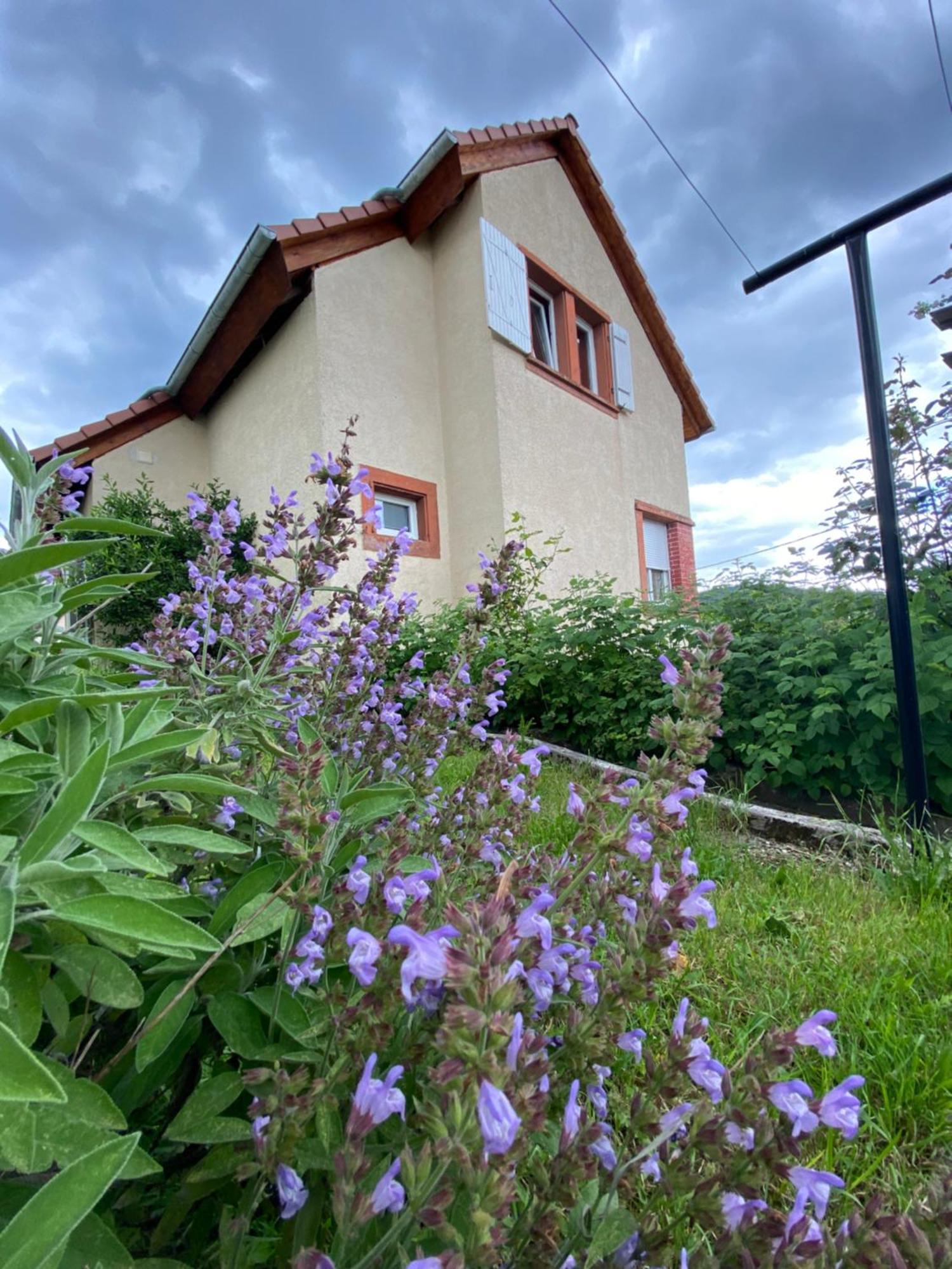Le Refuge De L'Ours Villa Baerenthal Exteriör bild