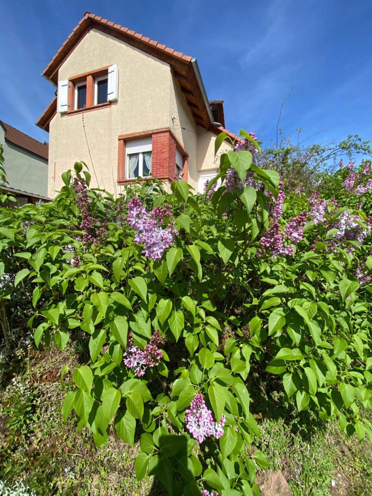 Le Refuge De L'Ours Villa Baerenthal Exteriör bild