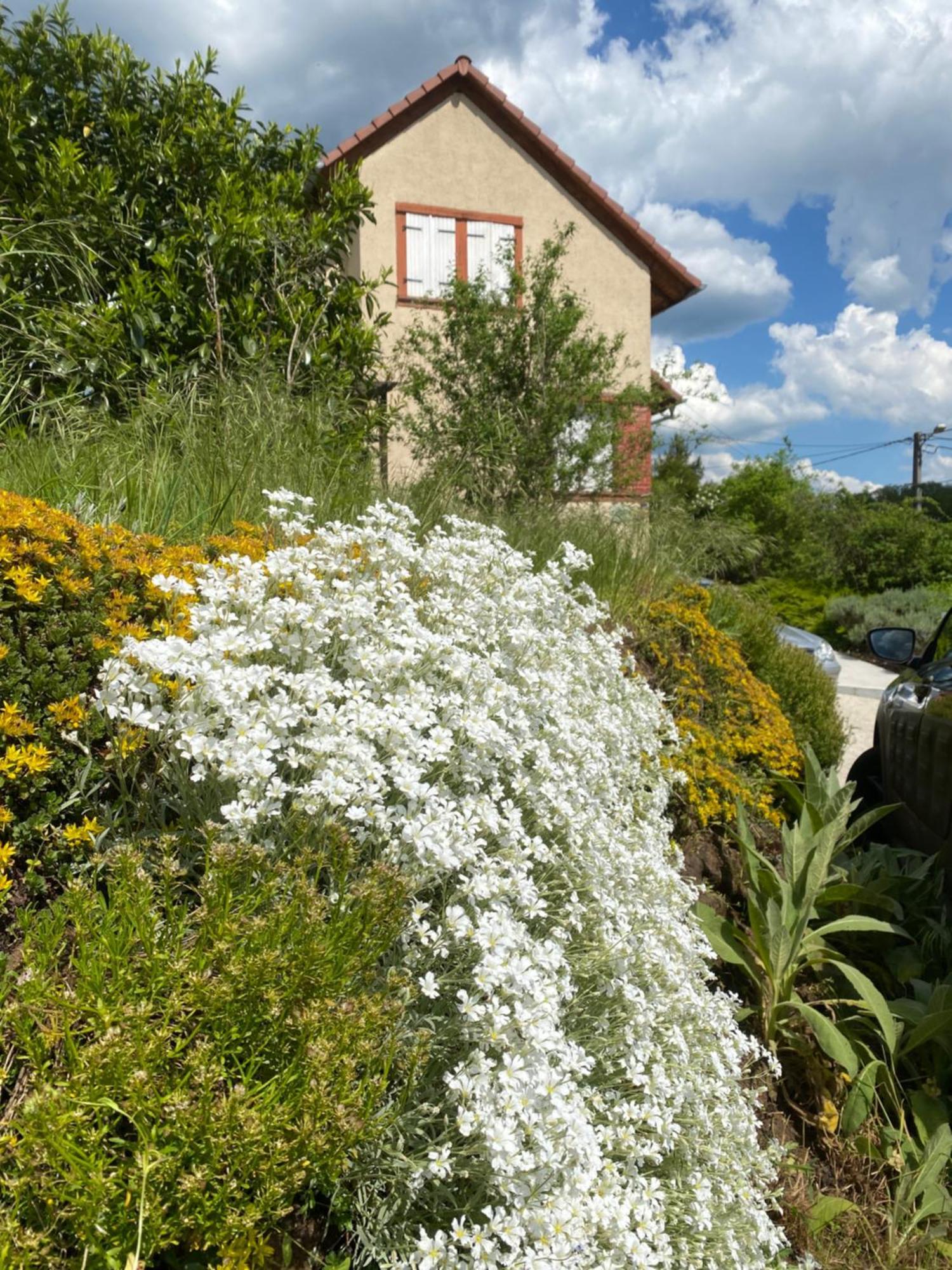 Le Refuge De L'Ours Villa Baerenthal Exteriör bild