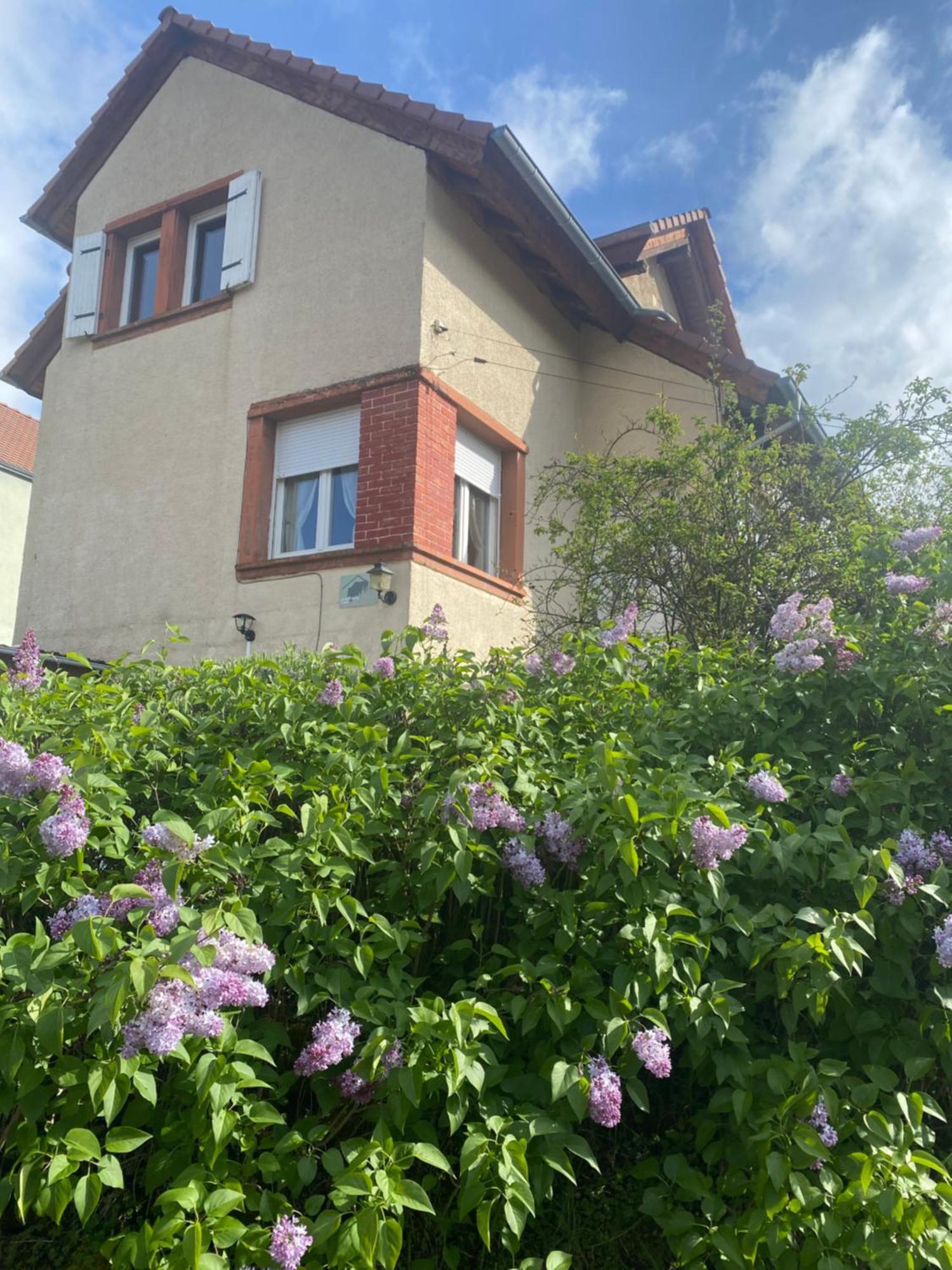 Le Refuge De L'Ours Villa Baerenthal Exteriör bild