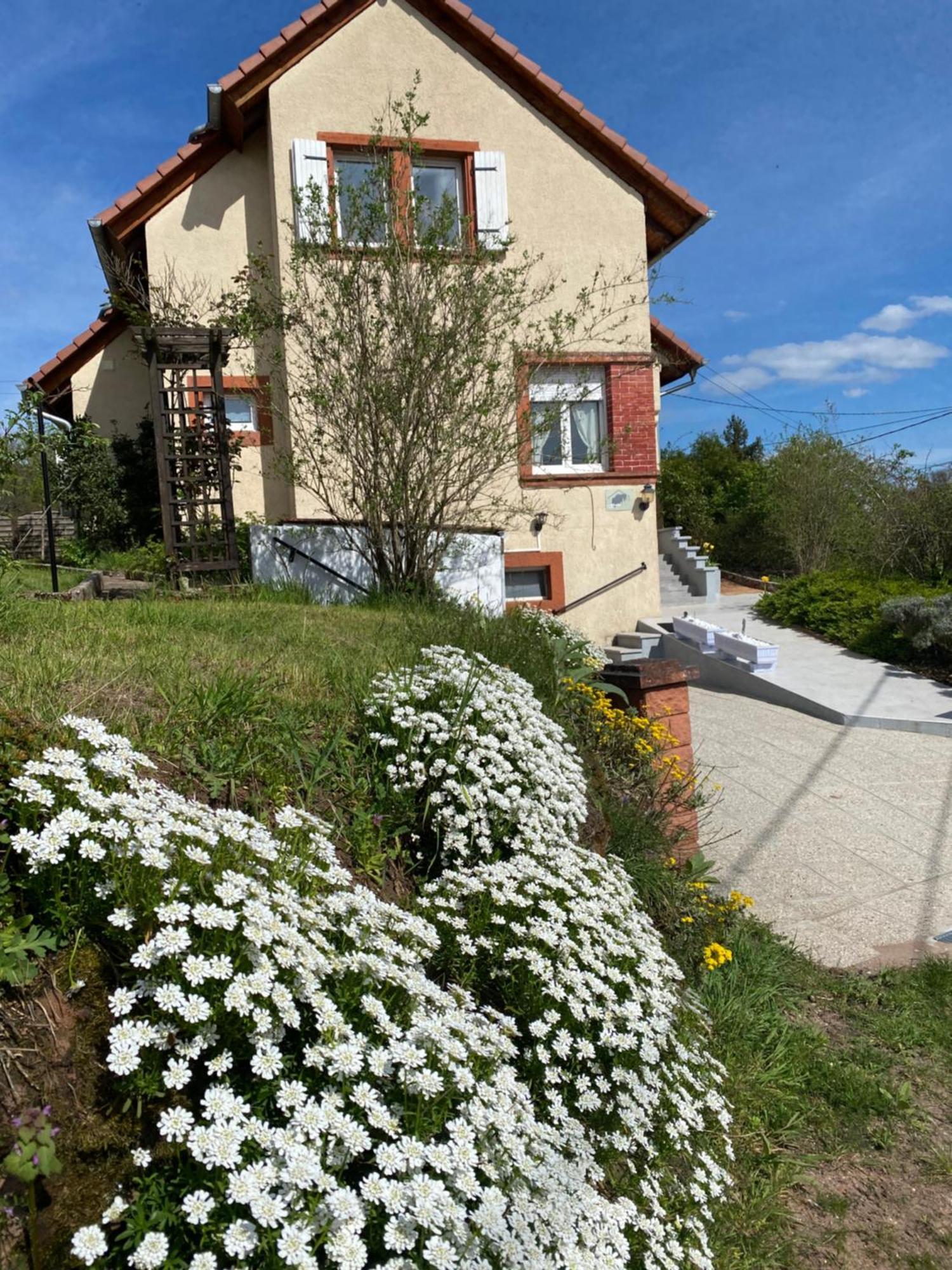 Le Refuge De L'Ours Villa Baerenthal Exteriör bild